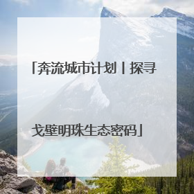 奔流城市计划丨探寻戈壁明珠生态密码