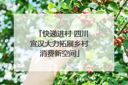 快递进村 四川宣汉大力拓展乡村消费新空间