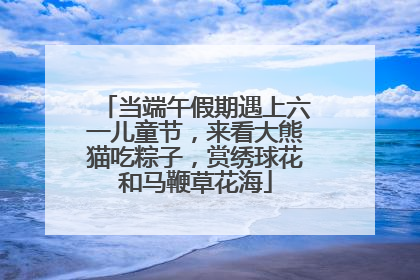 当端午假期遇上六一儿童节，来看大熊猫吃粽子，赏绣球花和马鞭草花海