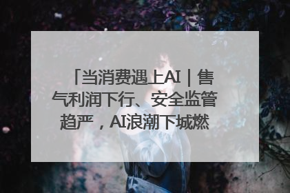 当消费遇上AI｜售气利润下行、安全监管趋严，AI浪潮下城燃企业如何破局