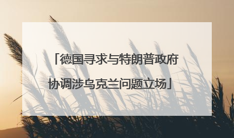 德国寻求与特朗普政府协调涉乌克兰问题立场