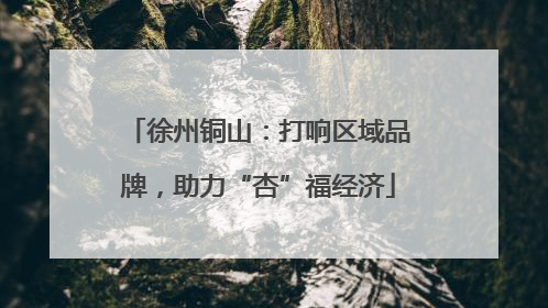 徐州铜山：打响区域品牌，助力“杏”福经济