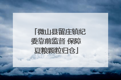 微山县留庄镇纪委靠前监督 保障夏粮颗粒归仓