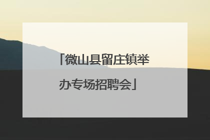 微山县留庄镇举办专场招聘会