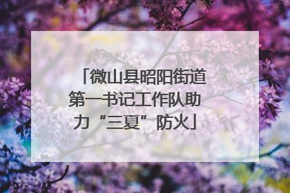 微山县昭阳街道第一书记工作队助力“三夏”防火