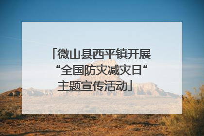 微山县西平镇开展“全国防灾减灾日”主题宣传活动