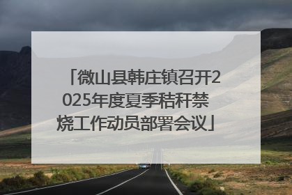 微山县韩庄镇召开2025年度夏季秸秆禁烧工作动员部署会议