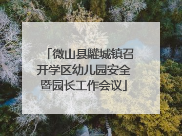 微山县驩城镇召开学区幼儿园安全暨园长工作会议