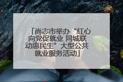 尚志市举办“红心向党促就业 同城联动惠民生”大型公共就业服务活动