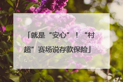 就是“安心”！“村超”赛场说存款保险