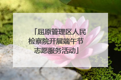 屈原管理区人民检察院开展端午节志愿服务活动