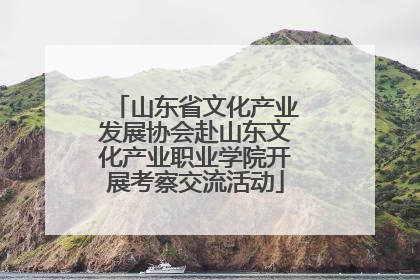 山东省文化产业发展协会赴山东文化产业职业学院开展考察交流活动