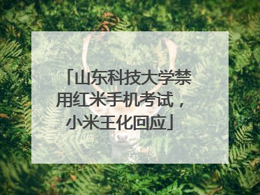山东科技大学禁用红米手机考试，小米王化回应
