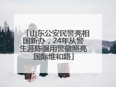 山东公安民警亮相国新办，24年从警生涯陈强用警徽照亮国际维和路