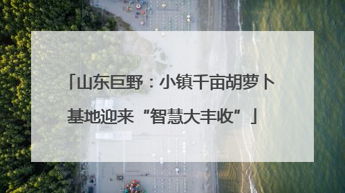 山东巨野：小镇千亩胡萝卜基地迎来“智慧大丰收”