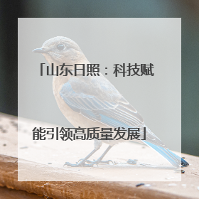 山东日照：科技赋能引领高质量发展