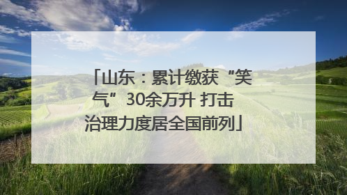 山东：累计缴获“笑气”30余万升 打击治理力度居全国前列
