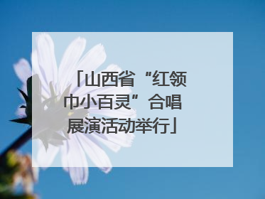 山西省“红领巾小百灵”合唱展演活动举行
