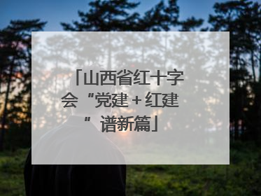 山西省红十字会“党建＋红建”谱新篇