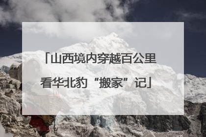 山西境内穿越百公里 看华北豹“搬家”记