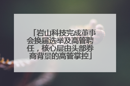 岩山科技完成董事会换届选举及高管聘任，核心层由头部券商背景的高管掌控