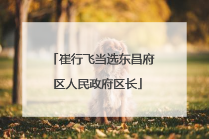 崔行飞当选东昌府区人民政府区长