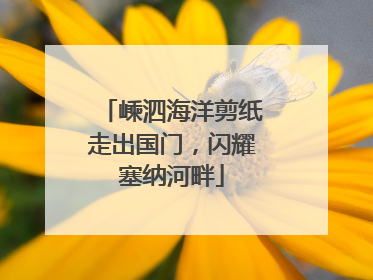 嵊泗海洋剪纸走出国门，闪耀塞纳河畔