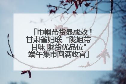 巾帼带货显成效！甘肃省妇联“陇姐带甘味 陇货优品位”端午集市圆满收官