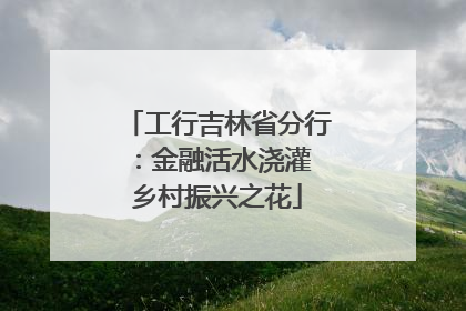 工行吉林省分行：金融活水浇灌 乡村振兴之花