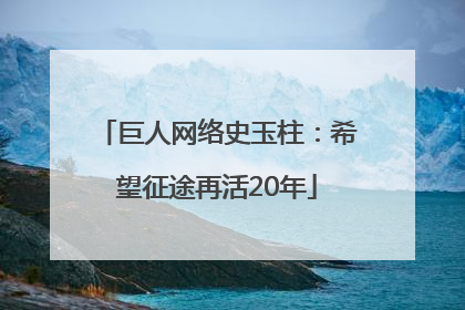 巨人网络史玉柱：希望征途再活20年