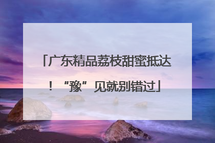 广东精品荔枝甜蜜抵达！“豫”见就别错过