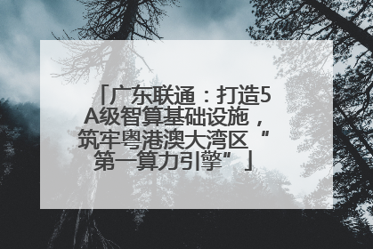广东联通：打造5A级智算基础设施，筑牢粤港澳大湾区“第一算力引擎”