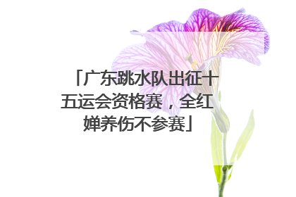 广东跳水队出征十五运会资格赛，全红婵养伤不参赛