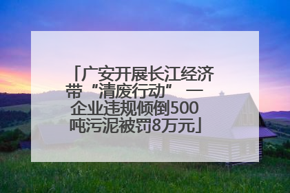 广安开展长江经济带“清废行动” 一企业违规倾倒500吨污泥被罚8万元