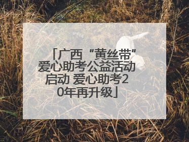 广西“黄丝带”爱心助考公益活动启动 爱心助考20年再升级