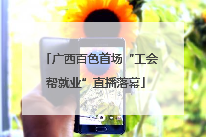 广西百色首场“工会帮就业”直播落幕