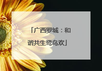广西罗城：和谐共生鹭鸟欢