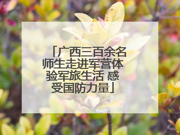 广西三百余名师生走进军营体验军旅生活 感受国防力量
