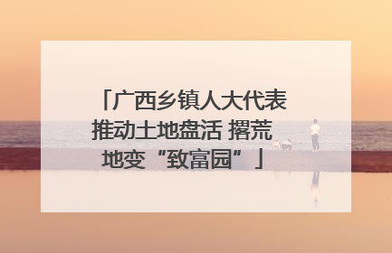 广西乡镇人大代表推动土地盘活 撂荒地变“致富园”