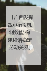 广西发挥裁审衔接机制效能 构建和谐稳定劳动关系
