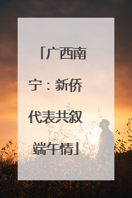 广西南宁：新侨代表共叙端午情
