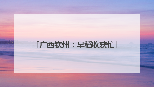 广西钦州：早稻收获忙