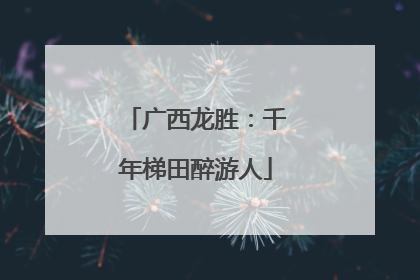 广西龙胜：千年梯田醉游人