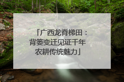 广西龙脊梯田：背篓变迁见证千年农耕传统魅力