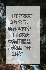 年产花菇3万公斤、填补省内空白 山东沃克集团智慧方舱里“开出花”