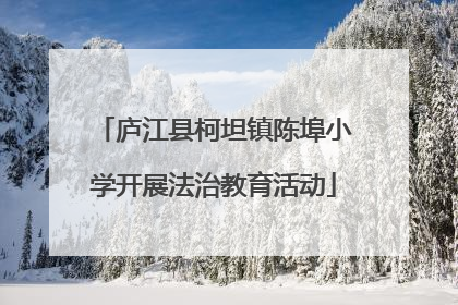 庐江县柯坦镇陈埠小学开展法治教育活动