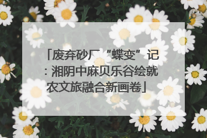 废弃砂厂“蝶变”记：湘阴中麻贝乐谷绘就农文旅融合新画卷