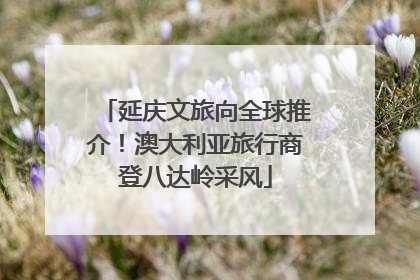 延庆文旅向全球推介！澳大利亚旅行商登八达岭采风