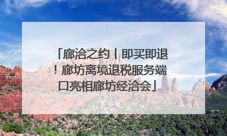 廊洽之约丨即买即退！廊坊离境退税服务端口亮相廊坊经洽会