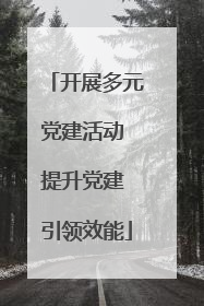 开展多元党建活动 提升党建 引领效能